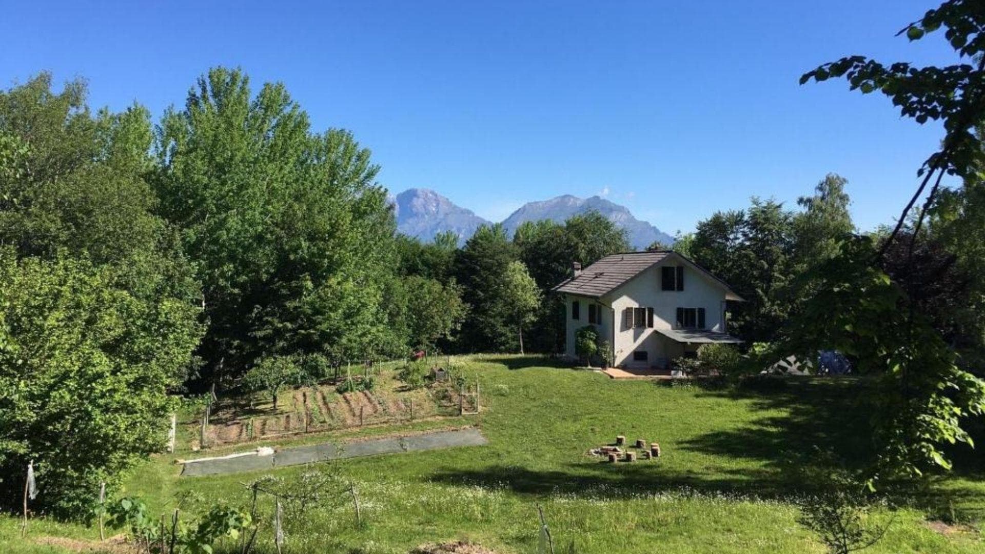 Casa betulla da esterno